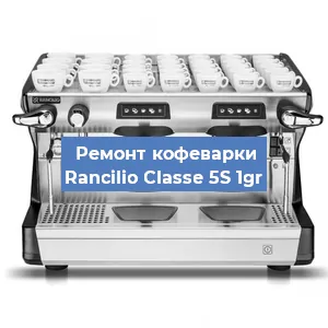 Чистка кофемашины Rancilio Classe 5S 1gr от кофейных масел в Екатеринбурге